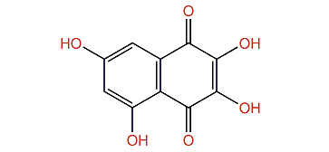 2,3,5,7-Tetrahydroxy-1,4-naphthoquinone